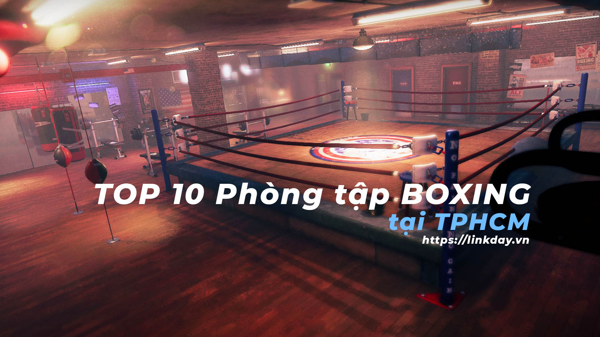 Read more about the article Top 10 CLB Boxing uy tín tại TPHCM
